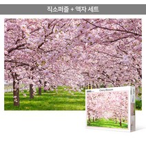 1000피스 직소퍼즐+액자세트 - 분홍빛으로 물든 벚꽃길 (액자포함), 단품, 단품