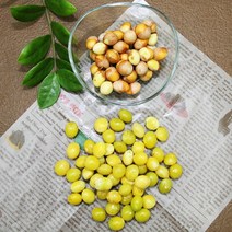 깐은행 1kg