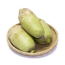 한아름드린 [익산원예농협] 신선 무 10kg, 1
