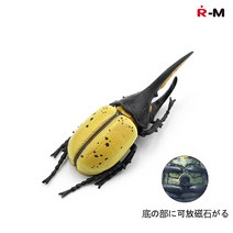 장수풍뎅이 곤충 벌 나비 피규어 인형 곤충표본만들기, I타입 8.5X2.5CM