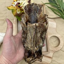애견껌 견생맛집 오리몸통 수제간식 반려견 대형견 치석제거, 쿠팡 블루마켓 본상품선택