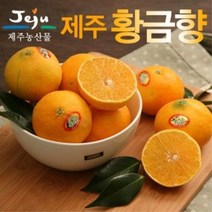 제주 황금향4.5kg(10-25과)/4.5k(26-34과), 4.5k 10-25과, 4.5kg 26-34과, 본상품선택