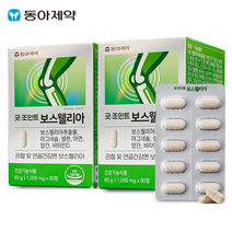 동아제약 굿조인트 보스웰리아 120g, 120정, 1개