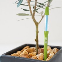 마이플랜트 SUSTEE 서스티 물주기 알리미 수분측정기, 본품M_그린