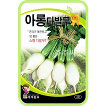 아롱다발무 씨앗 / 소형무 김장 가을 초롱무 계 Radish seed