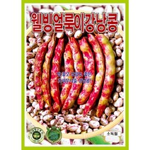 얼룩이 강낭콩 콩씨앗 30g