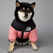 개 팬 럭셔리 디자이너 개 코트 따뜻한 코튼 패딩 개 옷 겨울 Hick 스티치 애완 동물 자켓 Shiba Inu French Bulldog, XXL, 분홍색