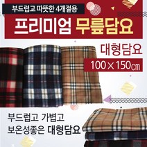 담요/항공무릎담요/미니무릎담요/휴대용무릎담요/무릎담요/극세사무릎담요 무릎담요 [프리미엄무릎담요]