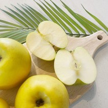 시나노 골드 가정용 쥬스용 못난이 시나노사과, 쥬스용 / 6kg, 1개, 6kg