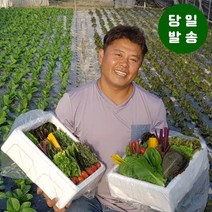 로메인상추2kg 가격비교 사이트