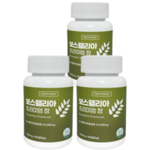 옵티마이저 보스웰리아 프리미엄 정 1000mg, 6개월분, 3통, 180정