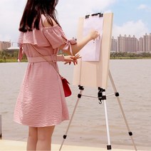 휴대용 접이식 알루미늄 이젤 전시용삼각대 (실버), 단품