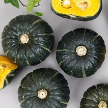 포근포근 가을 햇 미니 밤호박 2kg 5kg, 미니 밤호박 2kg(4개~6개)