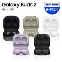삼성전자 갤럭시버즈2 무선 블루투스 이어폰 SM-R177, 화이트