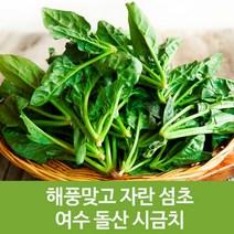 산지 해풍 여수 돌산 섬초 노지 시금치 4kg