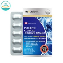 락토바실러스플란타럼 락토바실러스 가세리 바이크로바이옴 모유유래 플란타룸 유산균 프로바이오틱스 분말 가루 알약 정 캡슐 식약처 식약청 인증, 5박스(10개월분), 5개