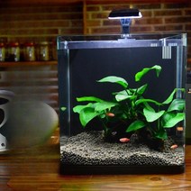 해수 어항 가정용 해수어 키우기쉬운물고기 수족관 해파리 니모 세트 키우기 배면섬프 네모난