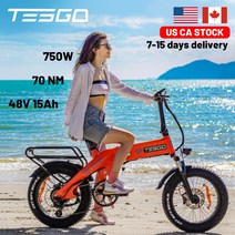 TESGO STT-S 접이식 전기 자전거 48V 750W 15AH 리튬 지방 Ebike 20 인치 성인 Shimano 8 속도, 02 Green, 03 1000W Motor