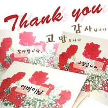 카드들 고품격 3단 펄지감사카드-감사인사답례장/생일축하/기념일/어버이스승의날/카네이션꽃선물포장카드, 감사카드-3단/Thank(어버이날)
