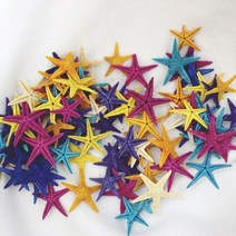 몰드몰 불가사리 ( 색상혼합 ) 약 13~15 개입 _ 젤캔들첨가물 디퓨저첨가물 컬러불가사리