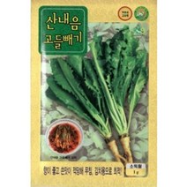 G 고들빼기 산내음고들빼기 씨앗 1g