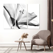 모던하우스 꽃 3분할 액자세트 중형 3세트(1pcs 40x90cm), 3.달리아