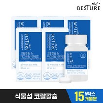 베스처 코랄칼슘 앤 마그네슘 비타민D 5병 15개월분, 코랄칼슘&마그네슘 비타민D 15개월분