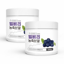 빌베리 농축 분말 오스트리아 빌베리 주스 가루 추출물 폴리페놀 안토시아닌 야생블루베리 빌베리차 bilberry 2통