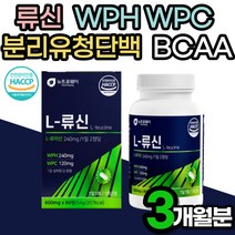 류신 BCAA 아미노산 단백질 3개월 WPH WPC 프로틴