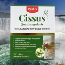 파이오라 시서스 1000mg 1박스 90캡슐 3개월분 뉴질랜드 씨서스 정 cissus 사은품 증정, 1개