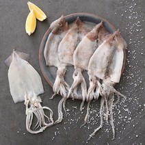 맛군 국내산 포항 손질 오징어, 1팩, 800g 내외 (4-8미)