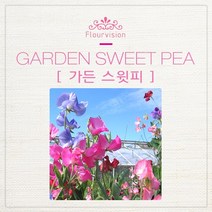 오일 워머 / 오일 램프