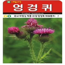 아람종묘 엉겅퀴 100립 엉겅퀴씨 엉겅퀴종자 엉겅퀴씨앗