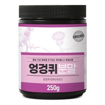 케이웰니스 국내산 엉겅퀴분말 250g, 단품, 단품