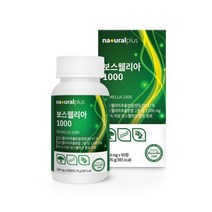내츄럴플러스 인도보스웰리아캡슐 1000 1064mg x 90정, 선택1)보스웰리아