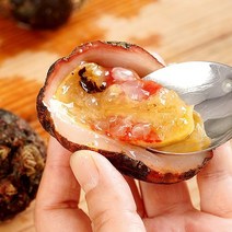통영 돌멍게 1kg 4-7미x4, 없음