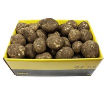 제주 탐나감자(특대) 10kg(38~55개 내외), 단품
