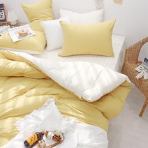 이즈베딩 플레인 프리미엄 고밀도 마이크로화이바 알러지케어 먼지없는 에어로워싱 호텔 이불패드세트