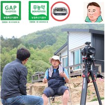 국내생산 GAP인증 목이버섯 마이산 오형제팜 천연 암반수 생목이/건목이버섯 380g(항균티슈 증정), 건목이100g