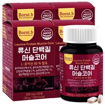 본트비 류신 단백질 타블렛 아미노산 BCAA 머슬코어 500mgx60정 4박스, 60정, 4개