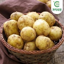 온도씨 [온도씨]가락시장 햇감자 1kg