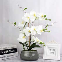 중형 호접란 꽃줄기_1p 화분연출 8개꽃 인조 난꽃, 연보라