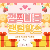 (비몽사몽문구점) 2배랜덤박스 / 스티커 / 떡메 / 랩핑지/ 디자인테이프/다꾸 포장용품 / 문구 / 생일선물 어린이선물, 4만