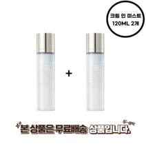 케어놀로지 리블루 밸런싱 크림 인 미스트 120ml 빠른배송, 크림 인 미스트 120ML 2개