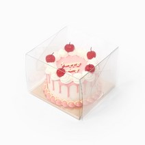 투명 케이크 상자 (x 5개), 블랙사각받침
