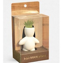 NOG416309헤어맨플랜트 대 우뚝이 식물키우기 화분 정원