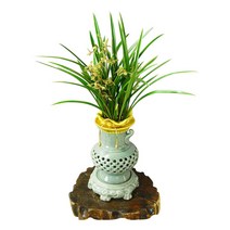 77플라워 황금채홍1 동양란 승진 영전 취임 개업식 축하 화분배달