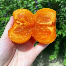 달콤한 청도반시 씨없는 감 홍시 연시, 1개, 청도반시 5kg 특대과(25과 내외)