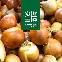 23년 무안 햇양파 3kg 5Kg 10Kg 소/중대혼합/특, 햇양파5Kg 중대혼합, 1개