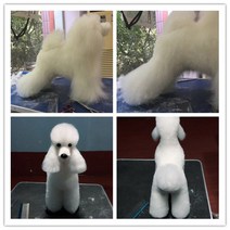 커트 위그램클립 시저링 애견미용 견체 무스타슈컷 연습용 모형 클리핑, 단일사이즈, 화이트 털